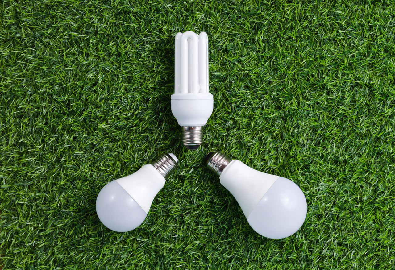 services-02 Three energy-efficient light bulbs placed on vibrant green grass, symbolizing sustainable energy.